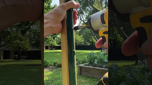 Best tomato trellis (for cheap) Best tomato trellis (for cheap)