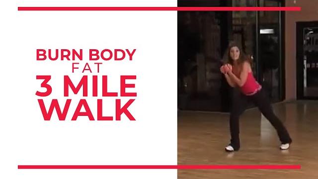 Burn body fat 3 mile | leslie sansone's walk at home Burn body fat 3 mile | leslie sansone's walk at home