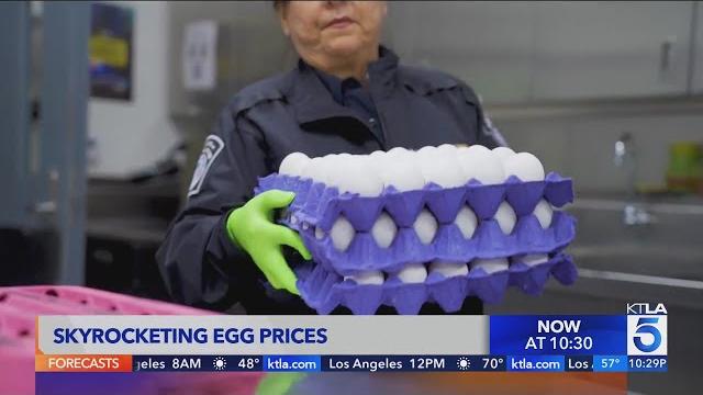 Ktla 5 news at 10 Ktla 5 news at 10