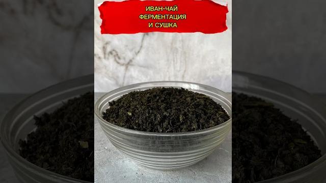Иван-чай ферментация и сушка #иванчай #чай #быстроивкусно #рецепты #рецепт #ппрецепты #полезно Иван-чай ферментация и сушка #иванчай #чай #быстроивкусно #рецепты #рецепт #ппрецепты #полезно