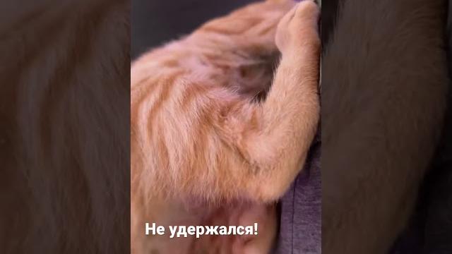 Вася падет от кайфа с дивана Вася падет от кайфа с дивана