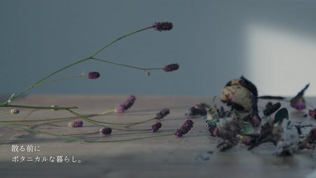 ボタニカルな暮らし。 - 散る前に【official video】 ボタニカルな暮らし。 - 散る前に【official video】