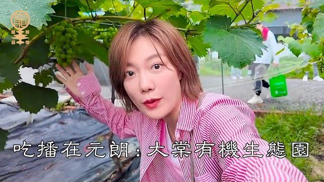 吃播在元朗 : 大棠有機生態園 吃播在元朗 : 大棠有機生態園