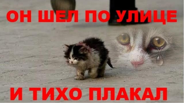 Он шёл по улице и тихо плакал очень грустное видео до слёз Он шёл по улице и тихо плакал очень грустное видео до слёз