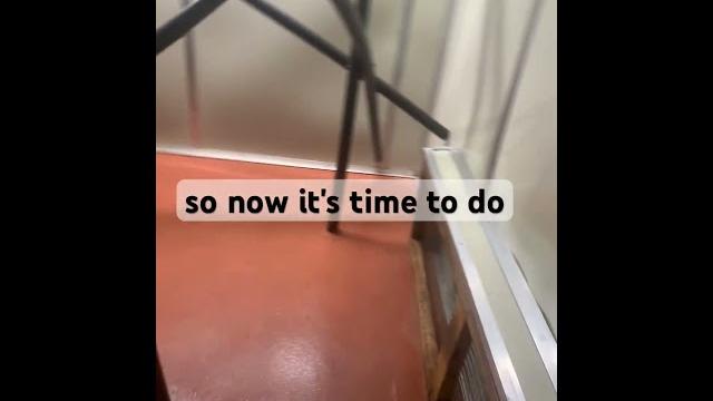 #nature #animalshorts #zoolife #nature #zoovlog #animallife #animalshorts #animallovers #sub #nature #animalshorts #zoolife #nature #zoovlog #animallife #animalshorts #animallovers #sub