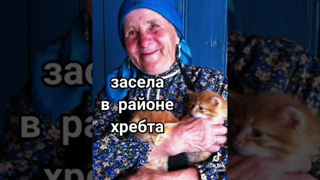 Стих. ей не с кем оставить кота⬛ Стих. ей не с кем оставить кота⬛