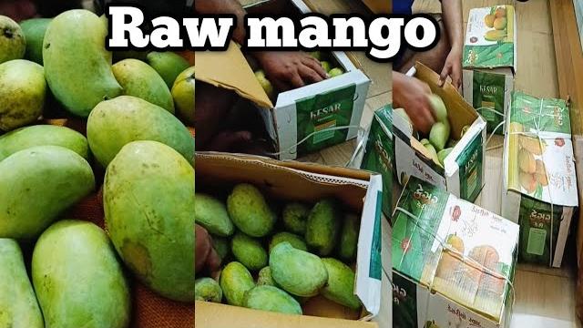 Mango nilam bhanderi vlogs is live Mango nilam bhanderi vlogs is live