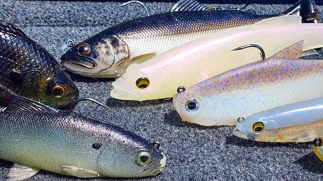 Swimbait tips for early spring bass fishing! Swimbait tips for early spring bass fishing!