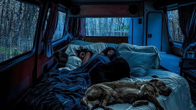 Rain sounds for sleeping - soothing rain & gentle thunder relax for deep sleep, goodbye stress Rain sounds for sleeping - soothing rain & gentle thunder relax for deep sleep, goodbye stress