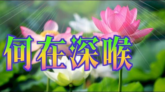 《何在深喉》#晴天林|何君堯確診祝福(原曲:愛在深秋) 《何在深喉》#晴天林|何君堯確診祝福(原曲:愛在深秋)