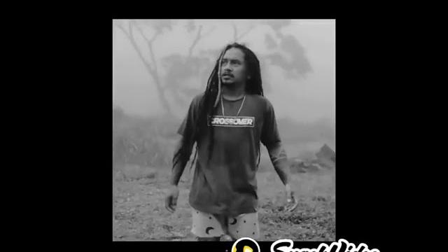 Bokep indo tanpa densor Bokep indo tanpa densor