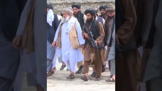 Prime minister of taliban attitude status #shorts Prime minister of taliban attitude status #shorts
