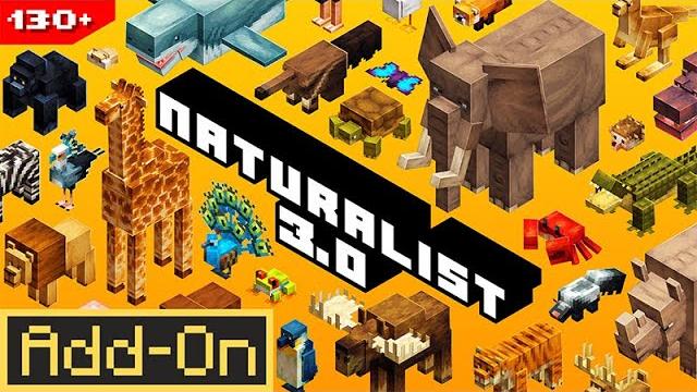 Naturalist add-on 3.0 (official trailer) Naturalist add-on 3.0 (official trailer)