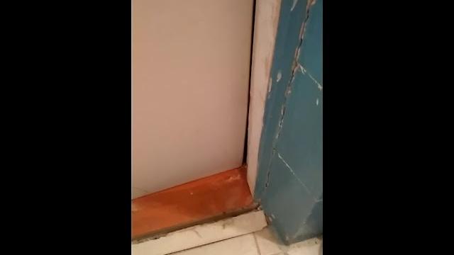 Страшный кот гуччи Страшный кот гуччи
