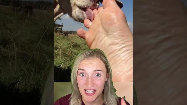 The worst torture method ever! The worst torture method ever!