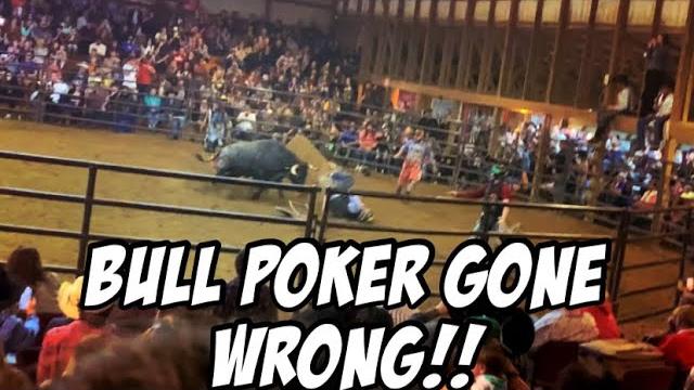 Bull poker fox hallow rodeo | ‘border patrol’ goes wild Bull poker fox hallow rodeo | ‘border patrol’ goes wild
