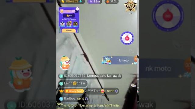 Ulat bulu Ulat bulu