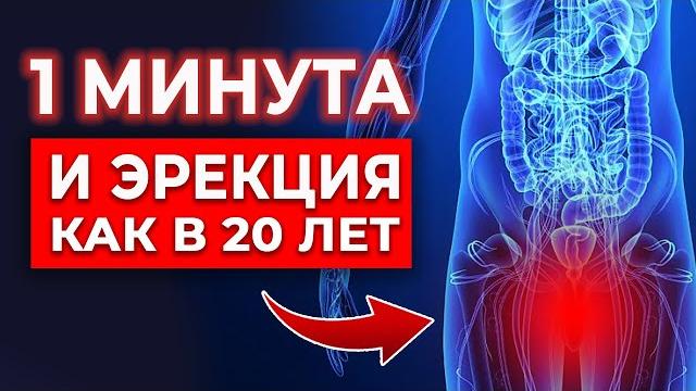 Эрекция гарантирована! как восстановить эрекцию за минуту? Эрекция гарантирована! как восстановить эрекцию за минуту?