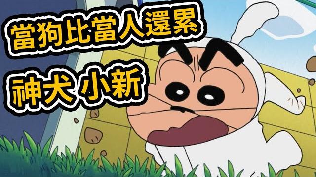 蠟筆小新:這年頭當甚麼都一樣累 小新,和小白交換角色,露屁屁的金毛。2021新番 蠟筆小新:這年頭當甚麼都一樣累 小新,和小白交換角色,露屁屁的金毛。2021新番