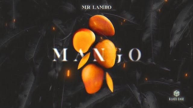 Mr lambo - mango (official video) Mr lambo - mango (official video)