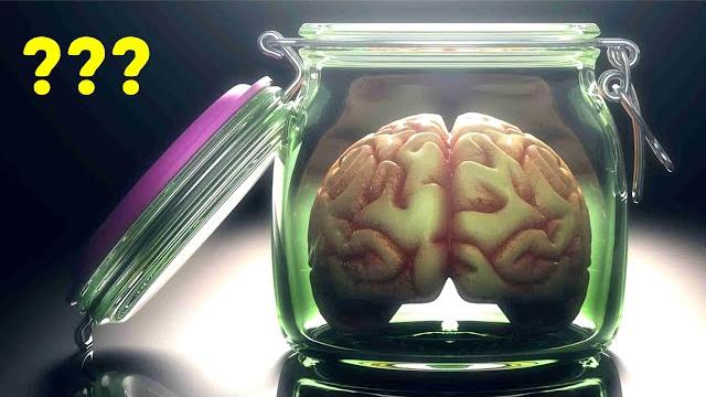 Where is albert einstein's brain? Where is albert einstein's brain?