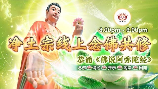 【同步】净土宗线上念佛共修暨法师开示【第1917天】+ 开示视频《高超法门》17-06-2025 online session(晚上8pm-9pm (gmt+8))【打开cc字幕】 【同步】净土宗线上念佛共修暨法师开示【第1917天】+ 开示视频《高超法门》17-06-2025 online session(晚上8pm-9pm (gmt+8))【打开cc字幕】