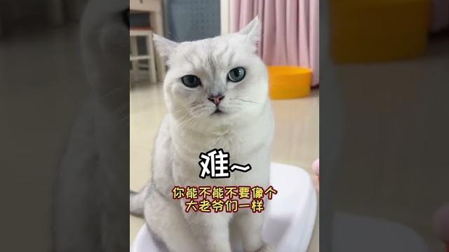 【大圓子】今天大圓子又聽懂我說話了沒想到大老爺們還能發出甜甜的嗓音 【大圓子】今天大圓子又聽懂我說話了沒想到大老爺們還能發出甜甜的嗓音