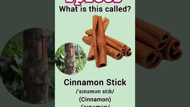 Spices names in english | learn spices vocabulary Spices names in english | learn spices vocabulary