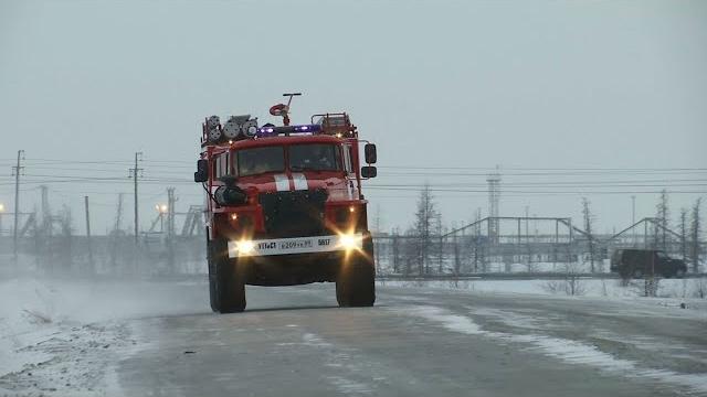 11 февраля 2022 11 февраля 2022