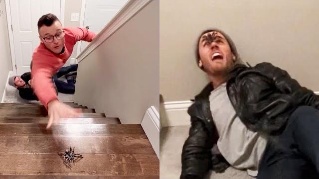 Home alone in a rush Home alone in a rush