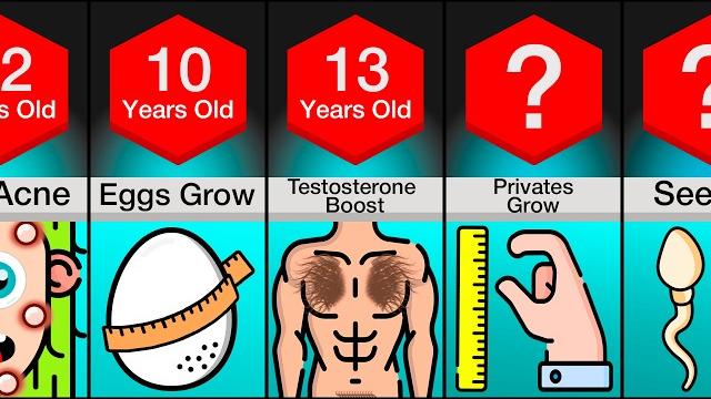 Timeline: male puberty Timeline: male puberty