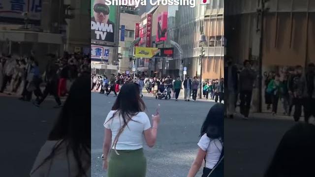 Shibuya massive crossing #tokyo #shibuya #japan #anime #life #crosswalk #vibe #sugoi #wow #epic #liv Shibuya massive crossing #tokyo #shibuya #japan #anime #life #crosswalk #vibe #sugoi #wow #epic #liv