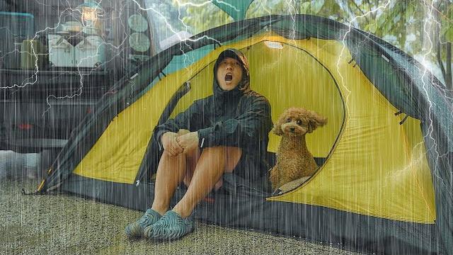 Solo camping in heavy rain with my dog . monster downpour . cozy relaxing in the tent asmr Solo camping in heavy rain with my dog . monster downpour . cozy relaxing in the tent asmr