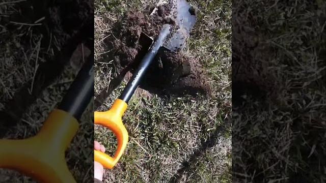 Монета за монетой! поиск золота и серебра, дорогих монет! коп с металлоискатель. дорогие монеты. Монета за монетой! поиск золота и серебра, дорогих монет! коп с металлоискатель. дорогие монеты.