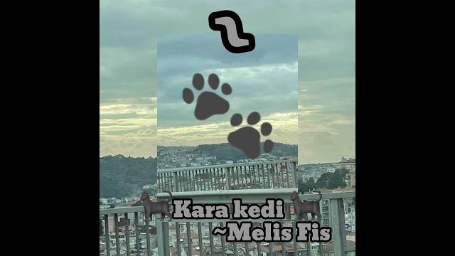 Kara kedi ⬛ ~melis fis full şarkı Kara kedi ⬛ ~melis fis full şarkı