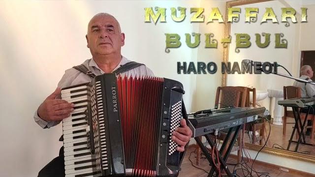 Музафари бул-бул 2024 Музафари бул-бул 2024
