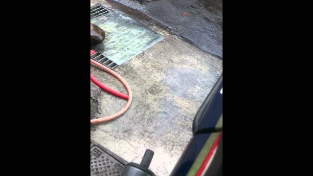 Hx135ss 1988王牌 Hx135ss 1988王牌