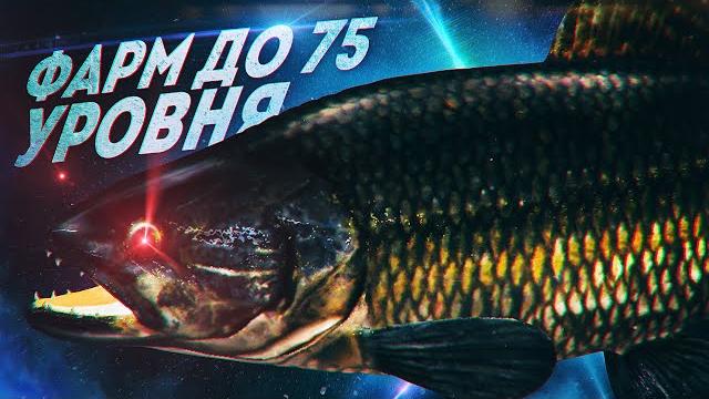Топ 10 европы показывает как фармить в бразилии Топ 10 европы показывает как фармить в бразилии