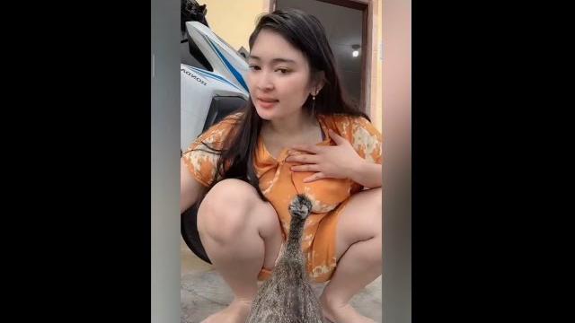 Aulia fahma lubis hot live sexy tembem paha mulus belahan pink empuk bibir manis imut gemesin 🩷 Aulia fahma lubis hot live sexy tembem paha mulus belahan pink empuk bibir manis imut gemesin 🩷
