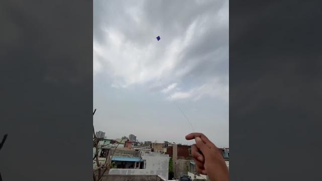 Kite flying #kite #viral Kite flying #kite #viral