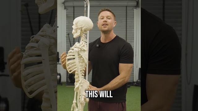 The secret to fix anterior pelvic tilt for good The secret to fix anterior pelvic tilt for good