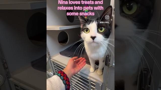 Nina 218239 Nina 218239