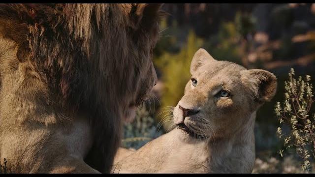 Can you feel the love tonight (from "the lion king") Can you feel the love tonight (from "the lion king")