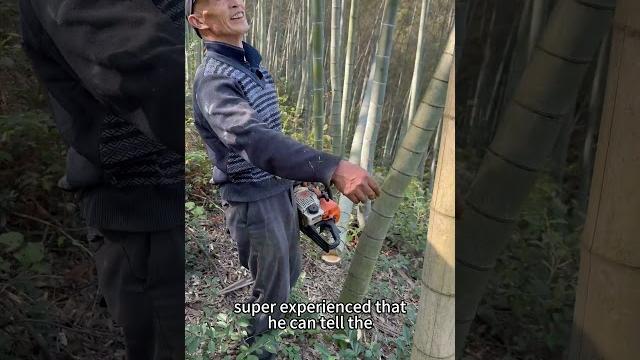 Sourcing natural materials for sustainability | eco ancheng factory tour #bamboo #bamboocutlery #eco Sourcing natural materials for sustainability | eco ancheng factory tour #bamboo #bamboocutlery #eco