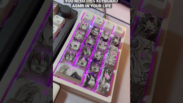 The only asmr you will ever need #theultimatenerd #gamingshorts #gamingsetup #anime #keyboard #asmr The only asmr you will ever need #theultimatenerd #gamingshorts #gamingsetup #anime #keyboard #asmr
