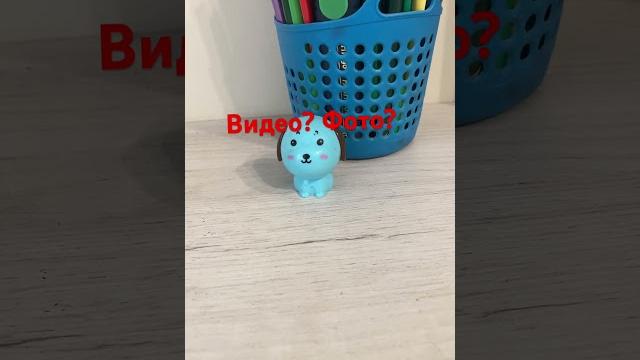 Видео? фото? Видео? фото?
