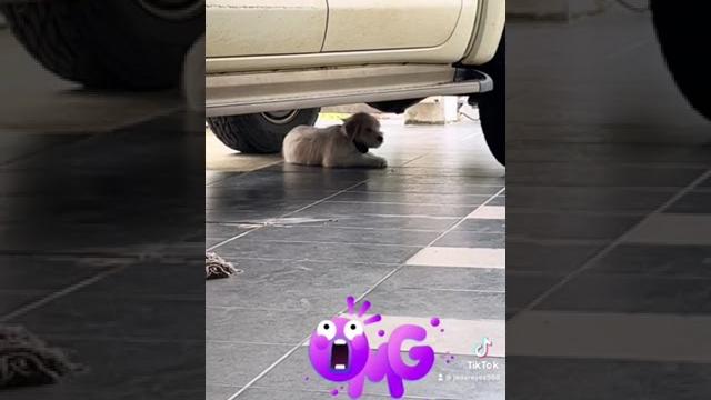 Choco u r so naughty… Choco u r so naughty…