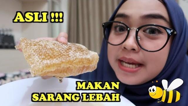 Makan sarang lebah asli. part 1 Makan sarang lebah asli. part 1