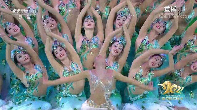 Dancing peacocks|cctv english Dancing peacocks|cctv english