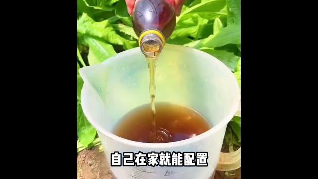 種菜五种水,勝过千种肥,在家裡就可以自己配出來,方便又實用 種菜五种水,勝过千种肥,在家裡就可以自己配出來,方便又實用